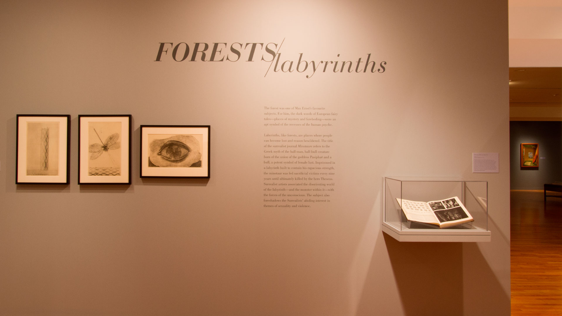 The Surrealist Revolution in Art