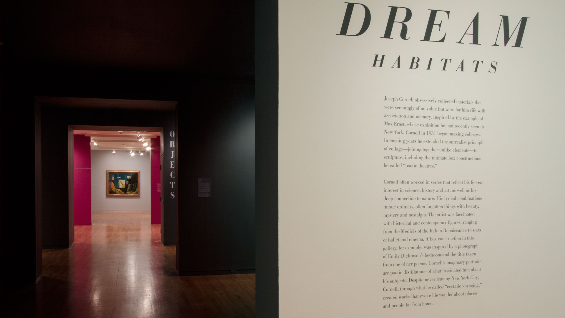 The Surrealist Revolution in Art