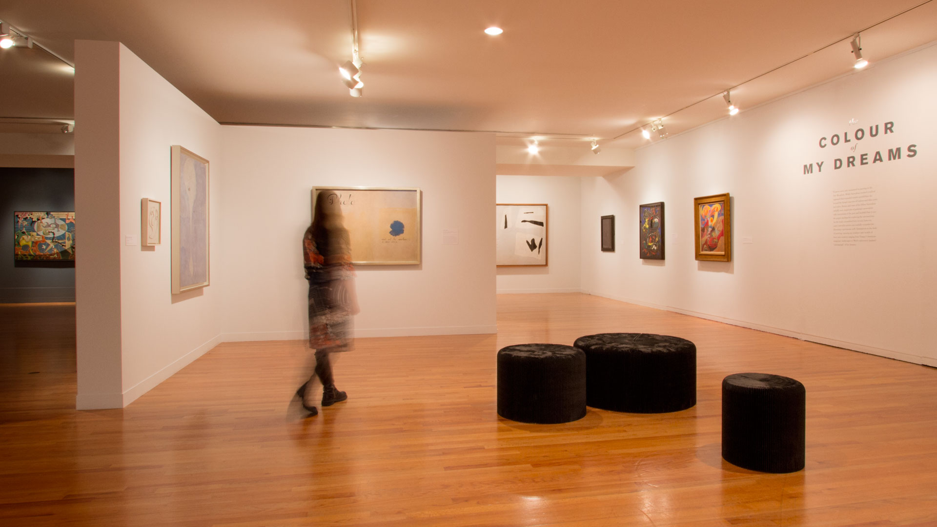 The Surrealist Revolution in Art